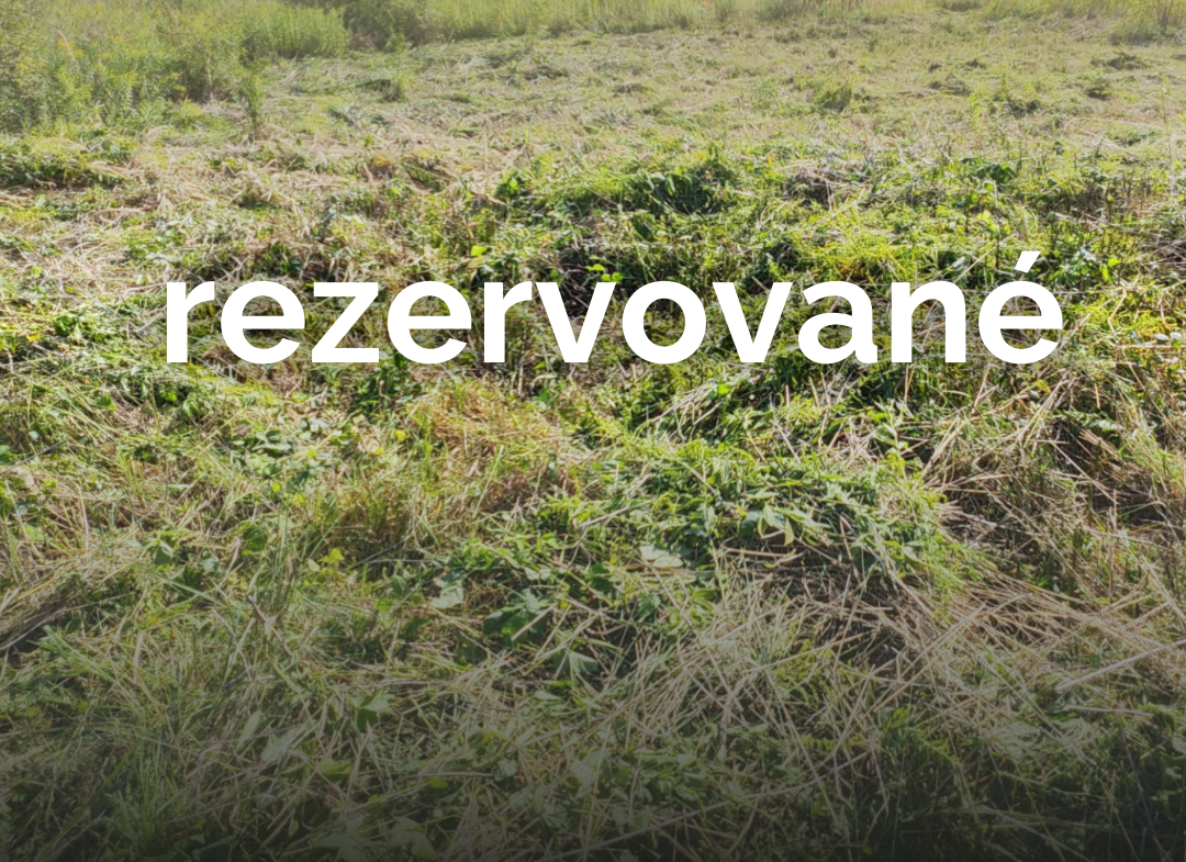 Investičný pozemok 954 m² – Ľubotice